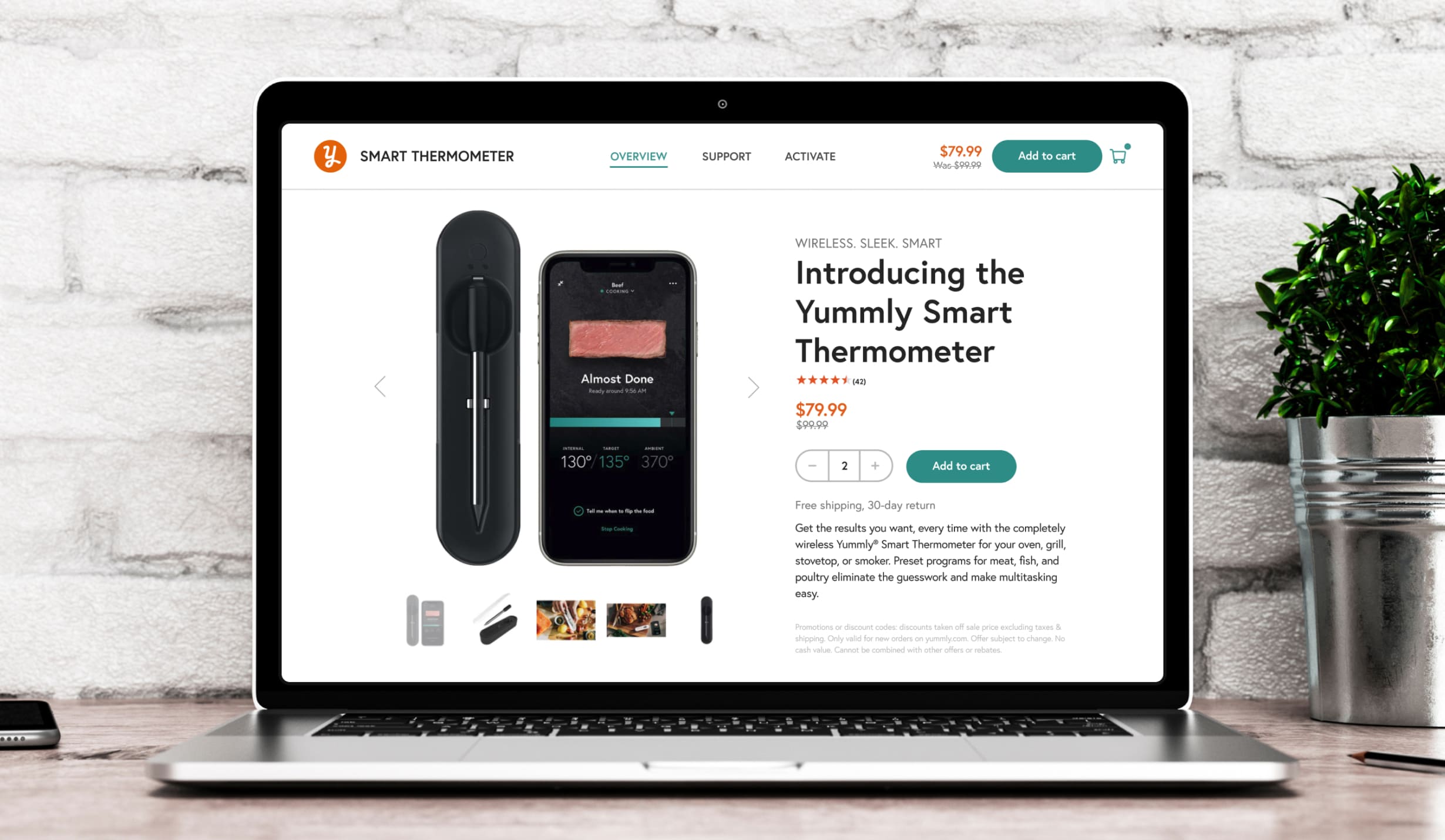 Smart Thermometer Ads